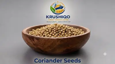 Coriander seeds