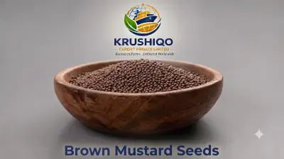 Brown Mustard Seeds