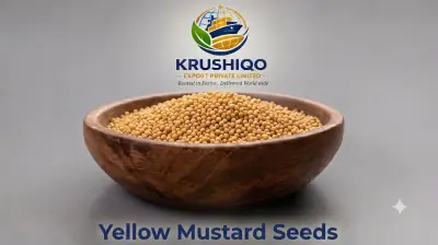 Yellow Mustard Seeds